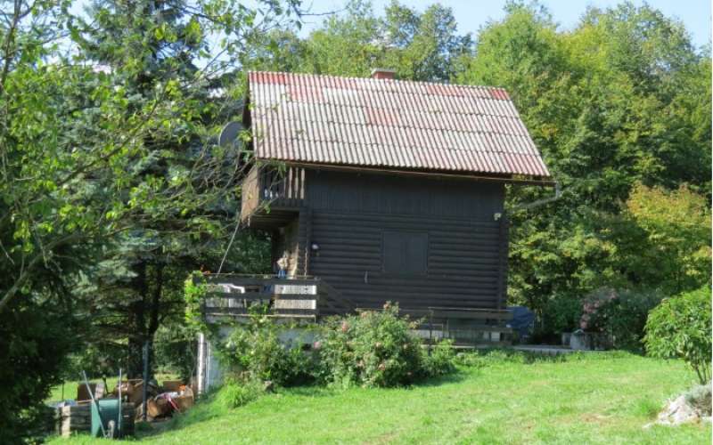 Mavrlen, vikend, napad psov, pitbuli