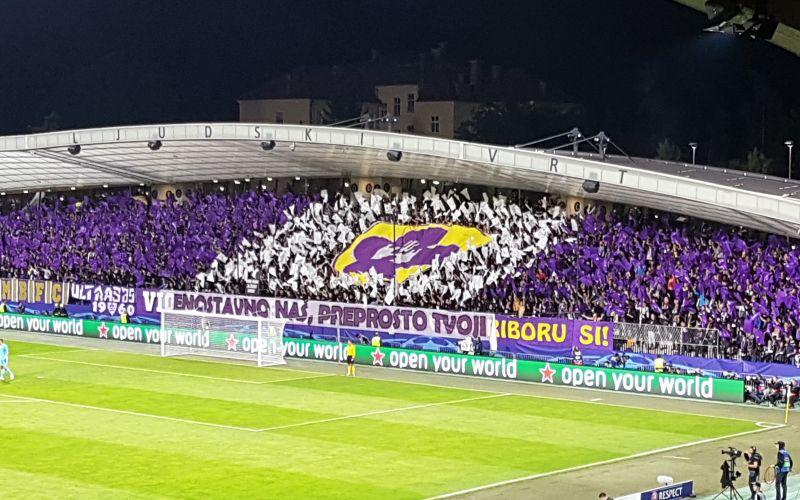 viole.jpg
