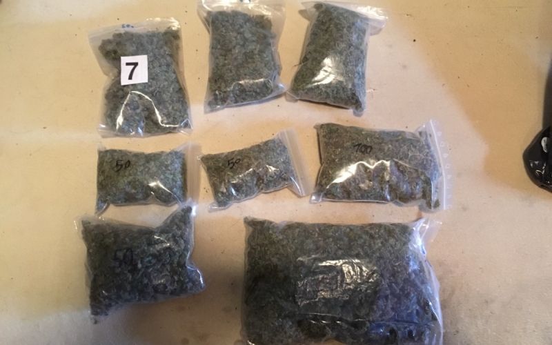konoplja, marihuana, večke, zasežena droga
