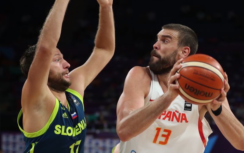 zagorac gasol.jpg