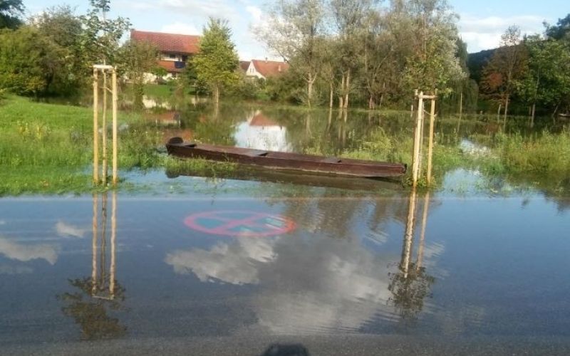 kostanjevica.jpg