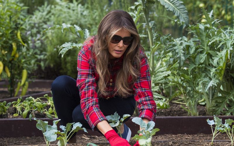melania, vrt6.jpg