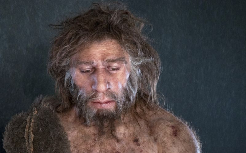 Neandertalec.jpg