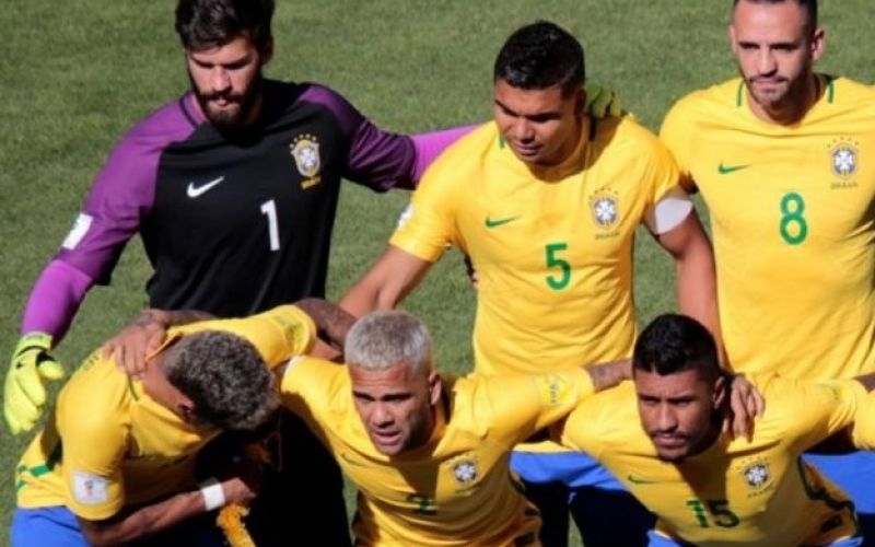 brasil ema.jpg