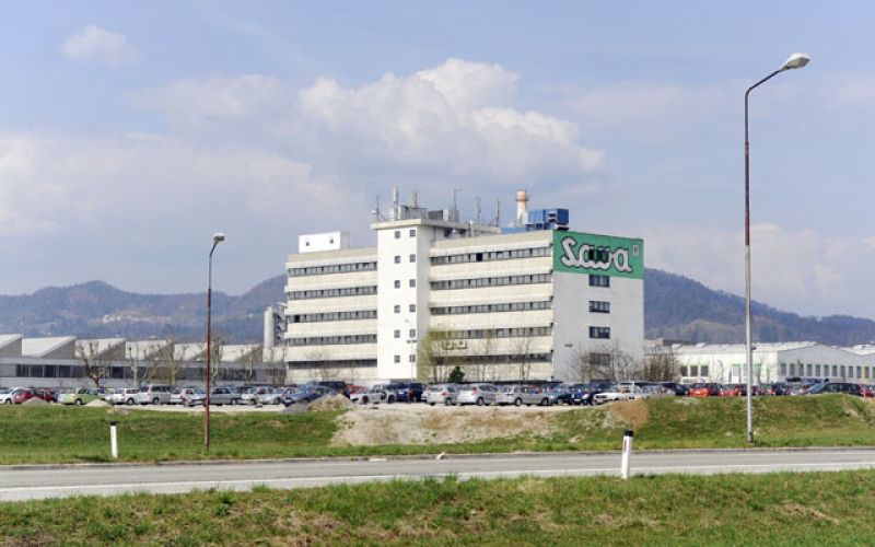 sava_bobo_08.06.15.jpg