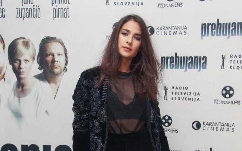 PREBUJANJA_Saša Pavlin Stošić.jpg