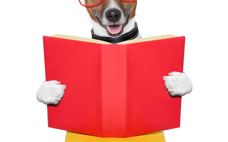 moj soncek_ThinkstockPhotos-177715458.jpg