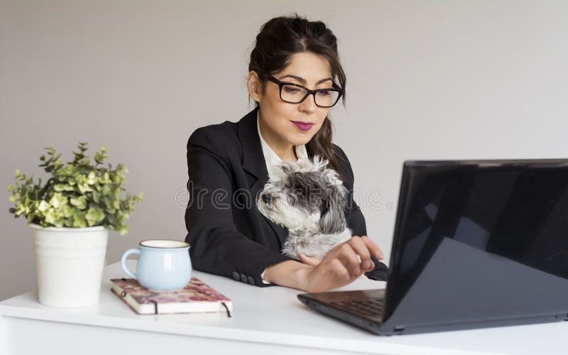 beautiful-young-business-woman-working-her-dog-office-looking-laptop-smiling-85980469.jpg