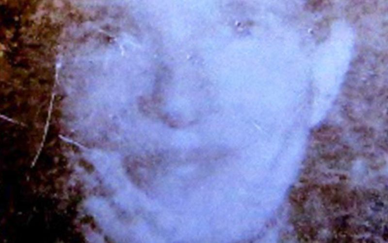 flora stevens