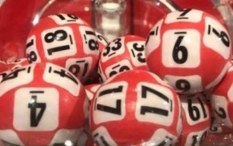loto.jpg