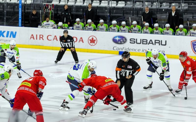 slovenija belorusija hokej 17 risi