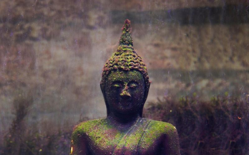 Buda.jpg