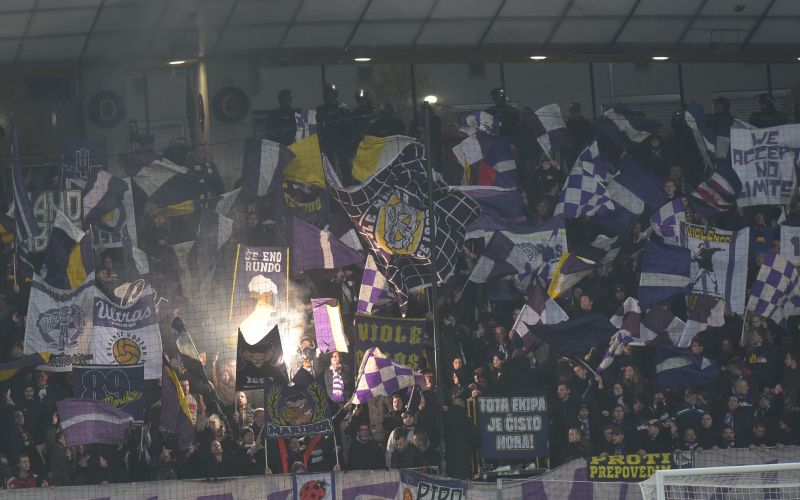 viole.jpg