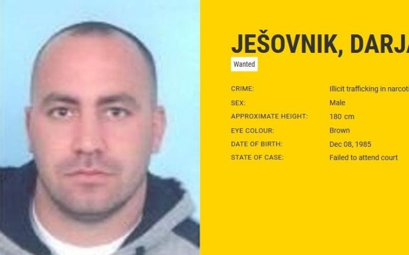 darjan ješovnik