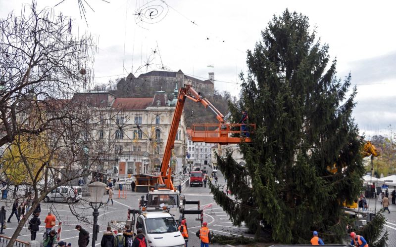 novoletna jelka1.jpg