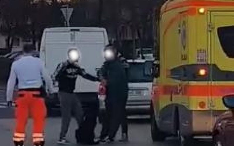 incident v mostah, mučenje psa, pici1.jpg