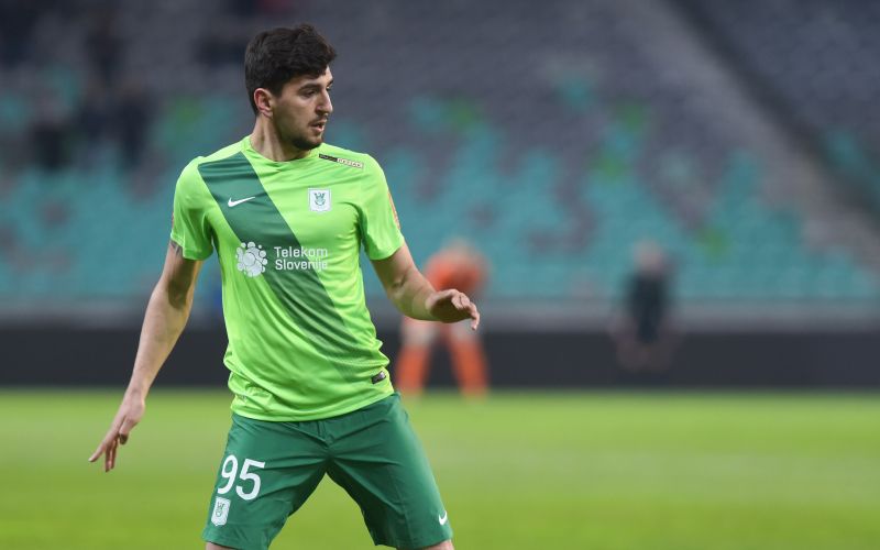 daniel avramovski.jpg