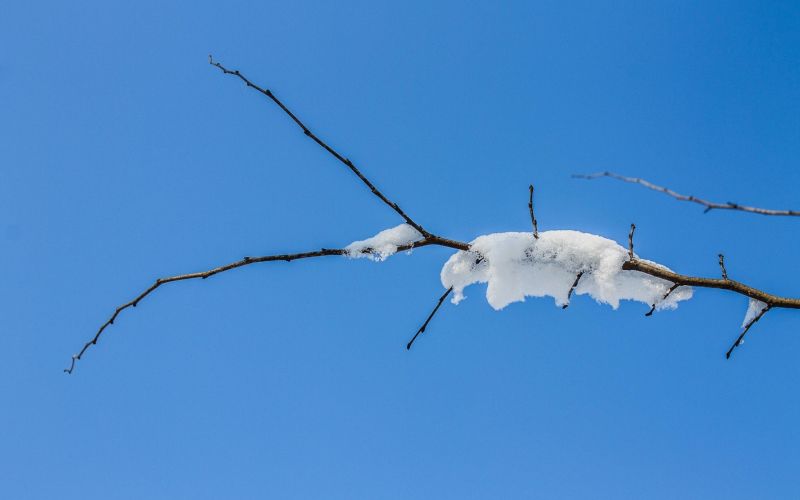 zima, sneg, sonce.jpg