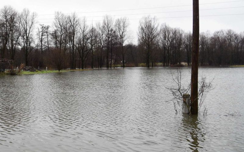 Ljubljansko barje-poplave-ljubljanica.jpg