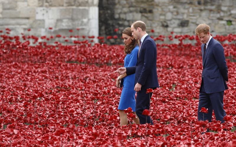 harry_william