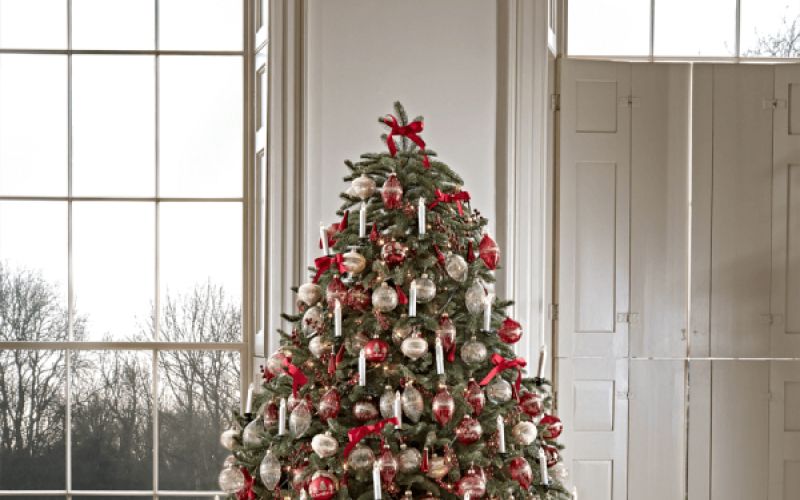 christmas tree.jpg