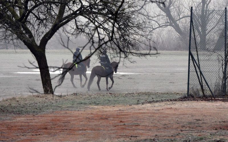 kaselj, policija, dlan, roka.jpg