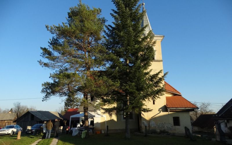 _ujaslice__01_.jpg