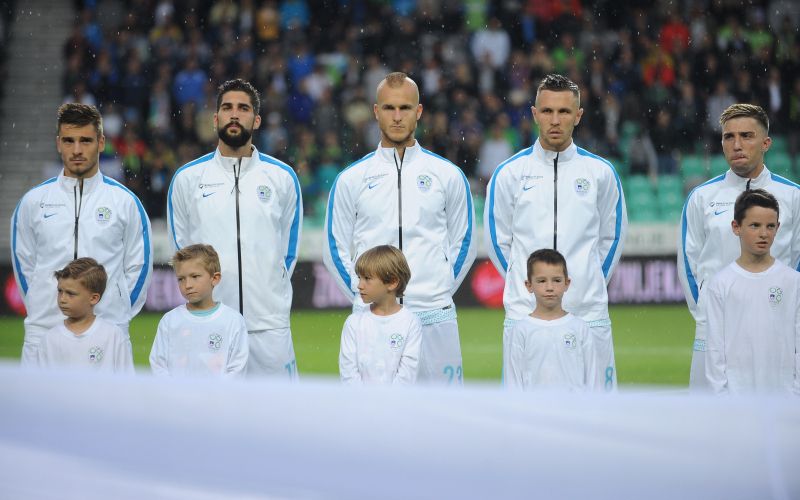 slovenija mevlja struna kurtic kampl.JPG