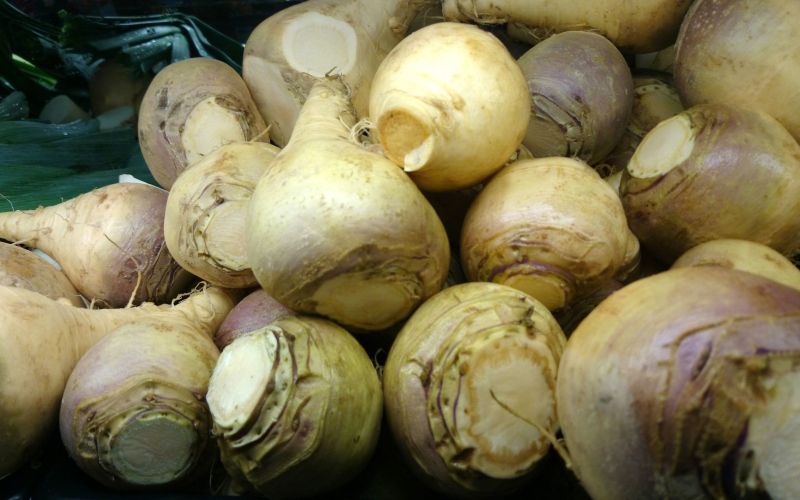 koleraba