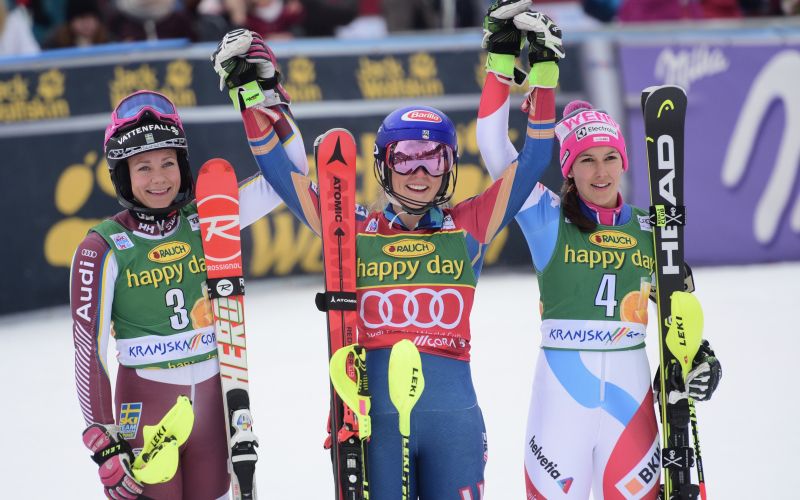 lisica shiffrin.jpg