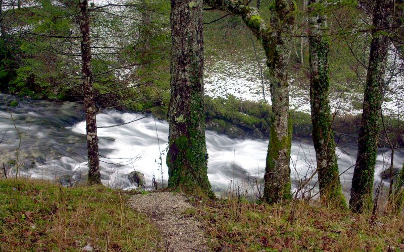 kamniska bistrica.jpg