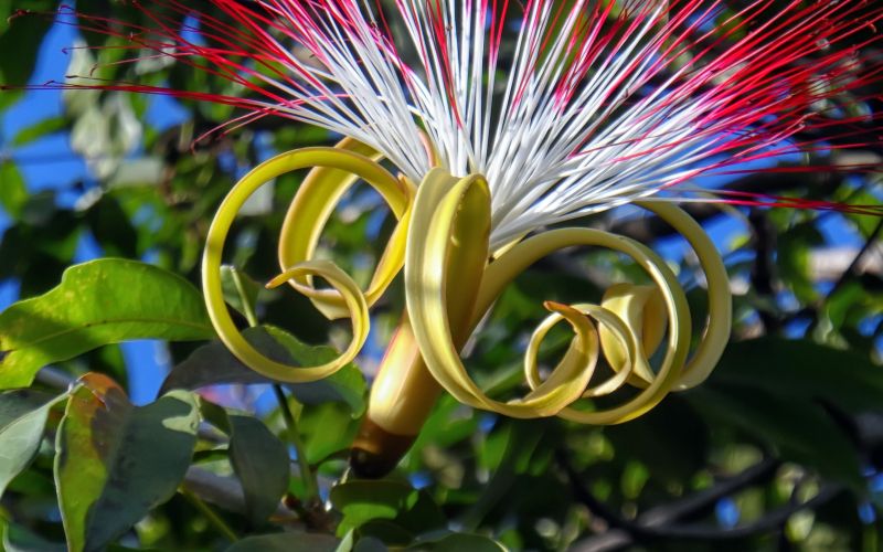 Sobno SST_706188415.jpg