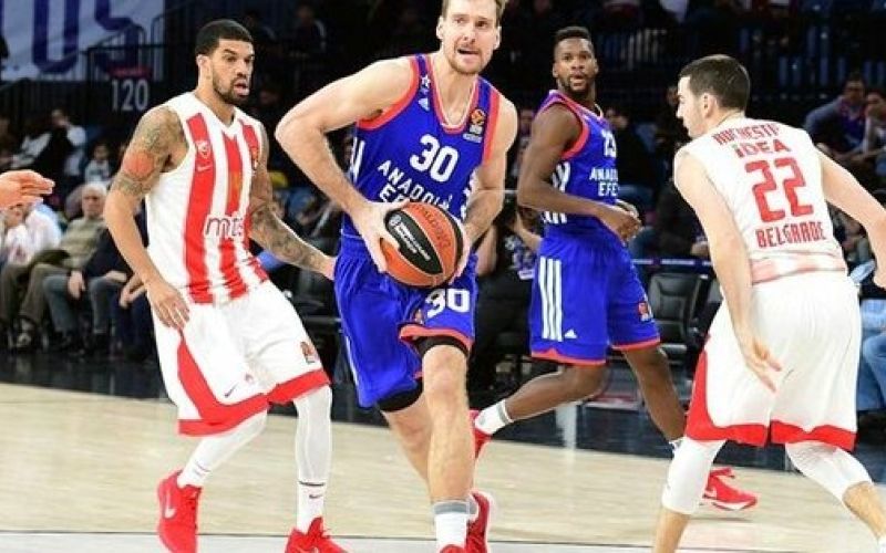 zoran dragic.jpg