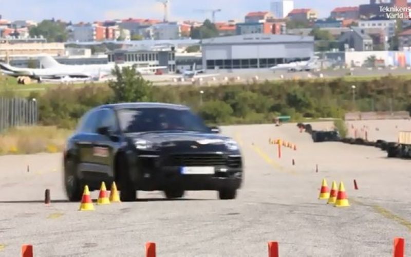 Macan ima težave?