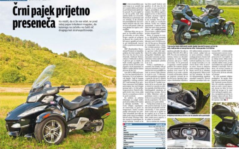 Črni pajek prijetno preseneča