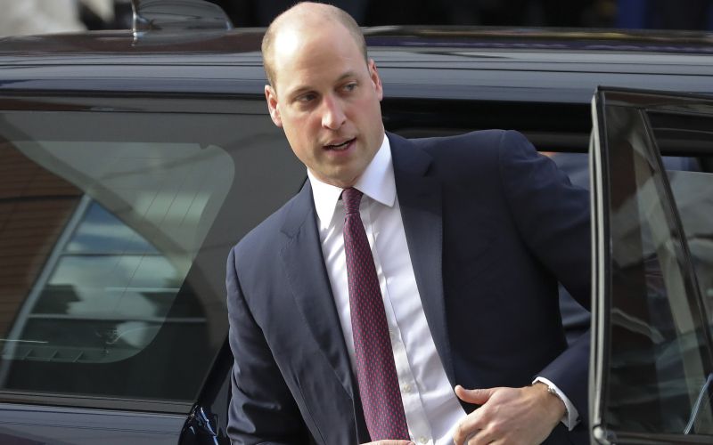 william 1 profi