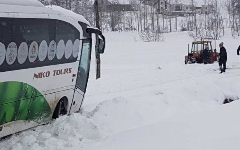 avtobus, zdrs.jpg