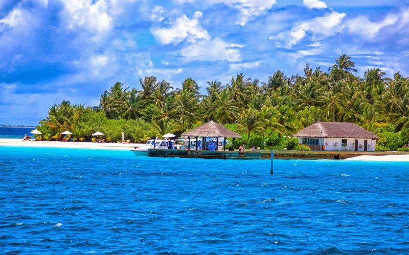 maldivi