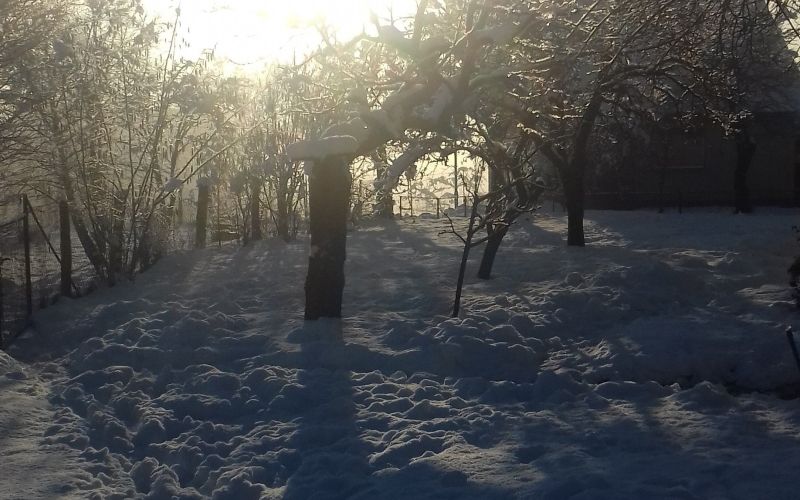 20180204_083428.jpg