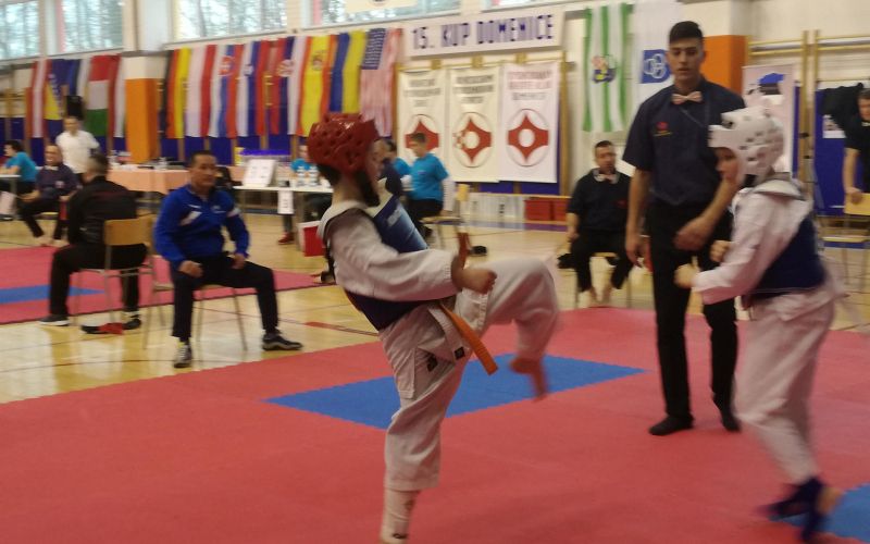 _zzzkarate__1_.jpg