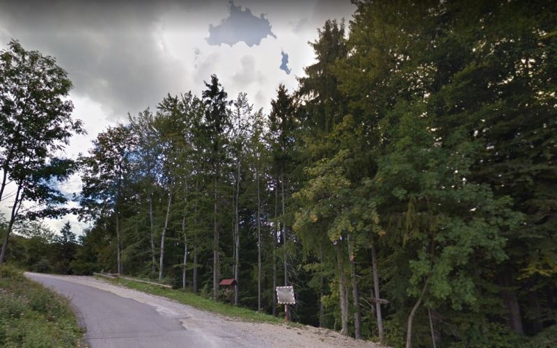 Hrastnik Cesta Turje.jpg
