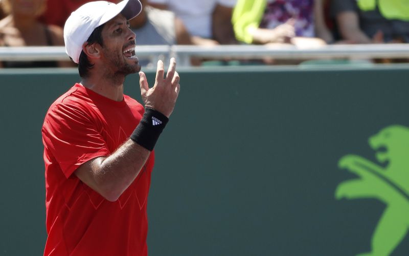 verdasco.jpg