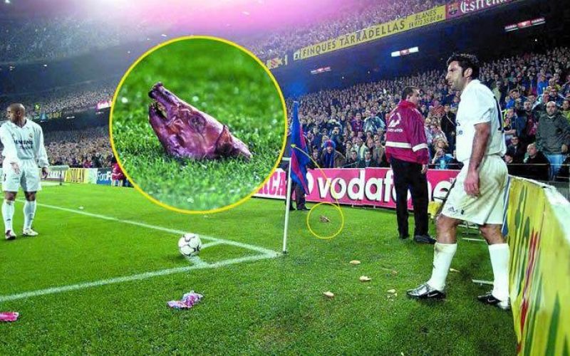 figo prasicja glava.jpg