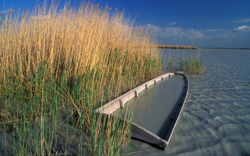 nežidersko jezero, Neusiedler See.jpg