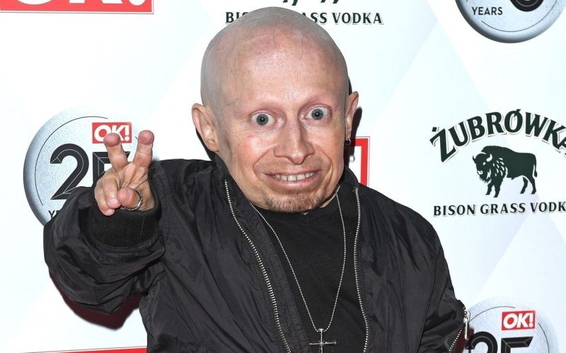 Verne Troyer.jpg