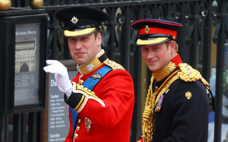 william in harry