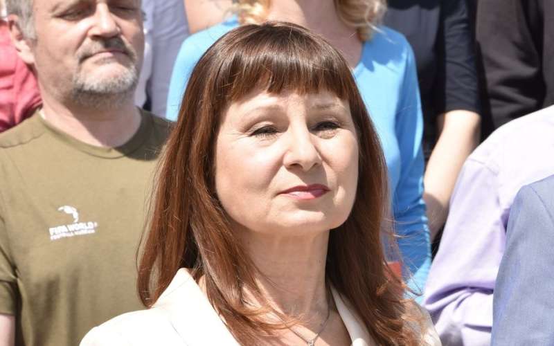violeta-tomic_bobo.jpg