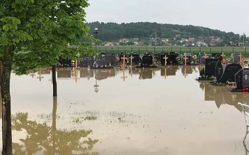 Ptuj.jpg