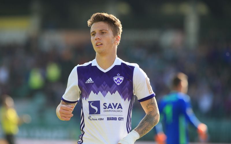 luka zahovic dw.jpg