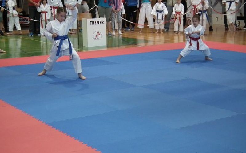 _zzzzzzzkarate__1_.jpg